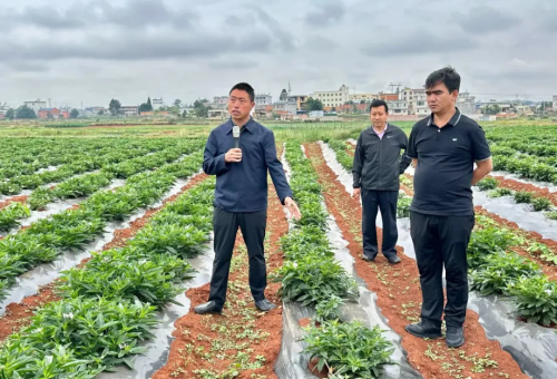 640.webp (5) 640.webp (5)