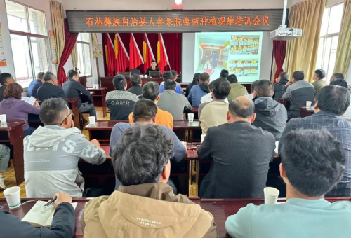 640.webp (6) 640.webp (6)