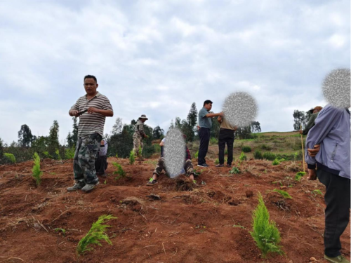 田间地头1 田间地头1