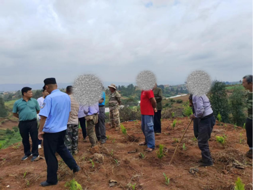 田间地头2 田间地头2