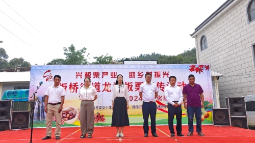 板栗节1 板栗节1