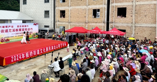 板栗节2 板栗节2