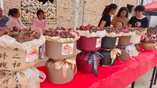 板栗节3 板栗节3