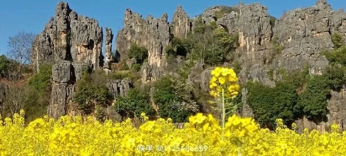 微信图片_20250304092855