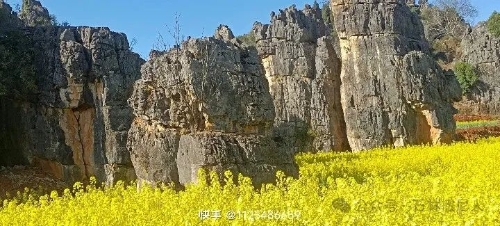微信图片_20250304092910