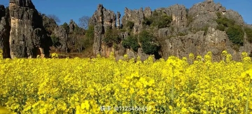 微信图片_20250304092913