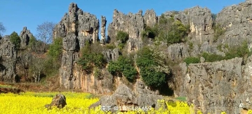 微信图片_20250304092915
