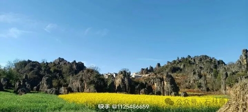 微信图片_20250304092924