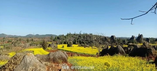 微信图片_20250304092937