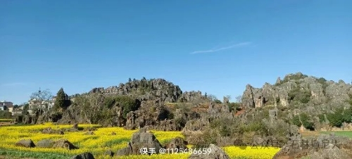 微信图片_20250304092940