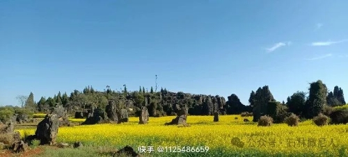 微信图片_20250304092943