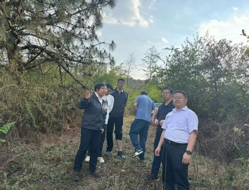 微信图片_2025-04-17_143446_048