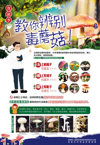 食用野生菌中毒防控宣传海报（最终版2）