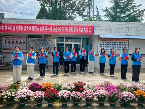 图片8
