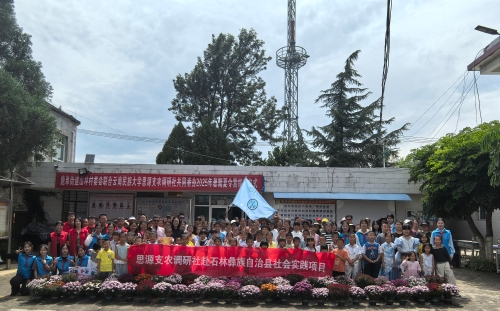 图片12
