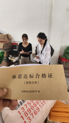 图片4