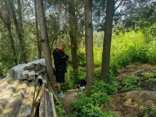 56（10）