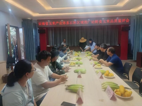 微信图片_2025-09-19_095127_016