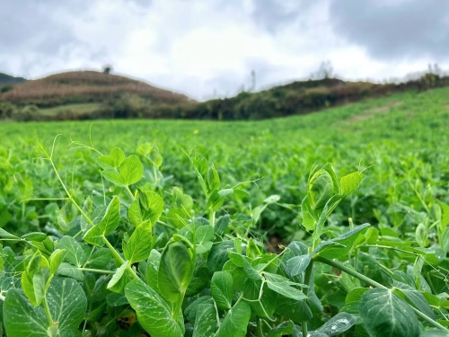 a9a40bd0a57e5ef6e743f72052bdd445 a9a40bd0a57e5ef6e743f72052bdd445