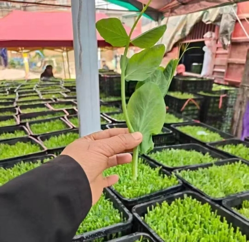 4587e141ba1f5c8e407f4d1b2b987b7e 4587e141ba1f5c8e407f4d1b2b987b7e