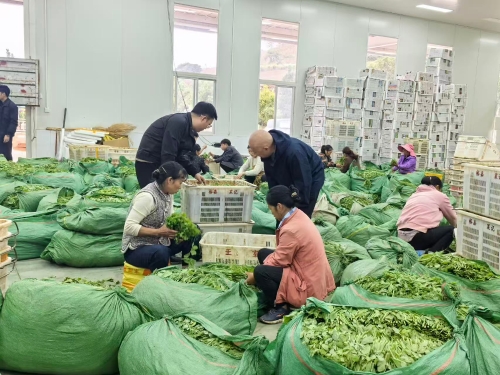 2eef15a809f52ee4ad7edccc5f43aa6b 2eef15a809f52ee4ad7edccc5f43aa6b