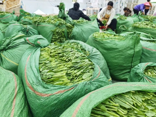 8732d3dccb90c02f6868f098a69246a9 8732d3dccb90c02f6868f098a69246a9