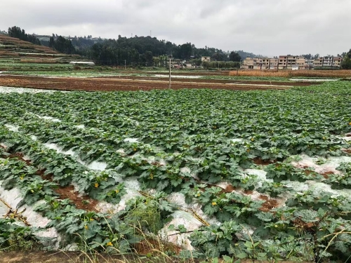 1c99bb5a51c6e1164fb70dd63bcc2947