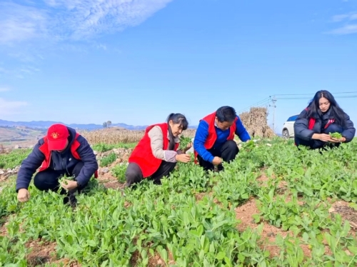 e6467d119dbecf128e3b9bfae3fabcc4