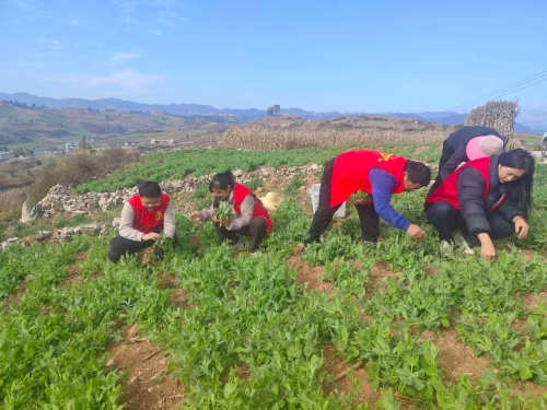 b21f066bd0b335751667aba4a5bfb535