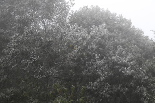 6d4dae13deb8b6d01f4b75130ea988f