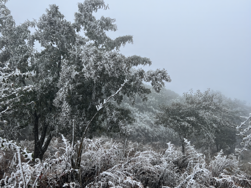 b571e861028932b5ef39aa2a245ff94