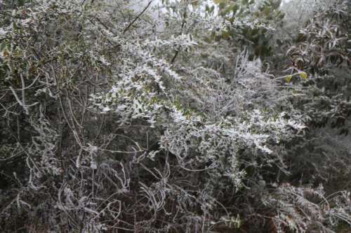 8a1126bf08b54edb3d9a5280a478a38