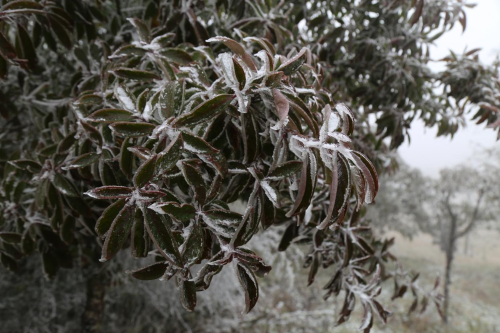 1228bb06139982ffc691dbe730de79f