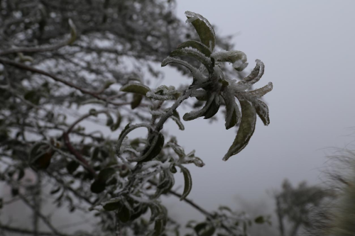 a8ed34946d23e8bd1a5d330b6ae9f82