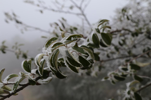 760634bcf807122ce24e16f21227f4e