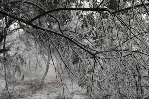 7435b834c5e0218af400a7bcda1ee7e