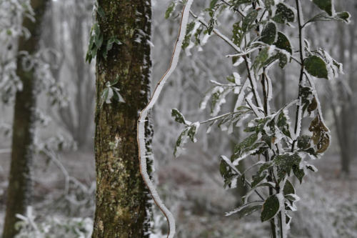 e08f57fe5ffde4ce3f16d88e1093f6c