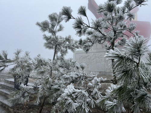 be2ec5735014e89115820a6f68c41e5