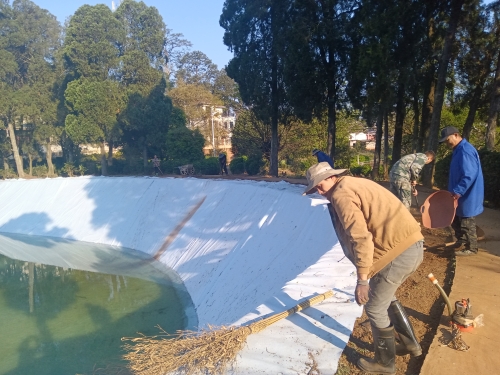 34ae0aff4e4fd502294f244166f8cde