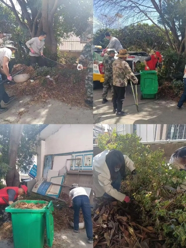 微信图片_20260206094417_368_25 微信图片_20260206094417_368_25