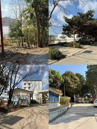 微信图片_20260206094423_369_25 微信图片_20260206094423_369_25