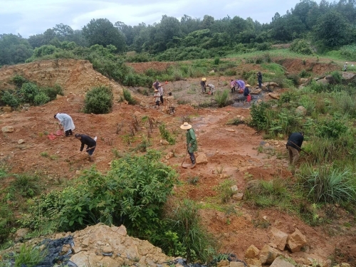 微信图片_2026-03-09_161158_811