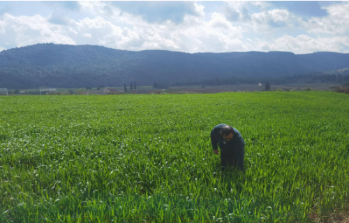 e48654fb690238b20e817b0aad6b543