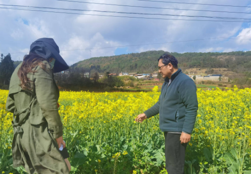 0d3ae68773c3ee1317246df2003f17b