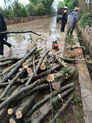 417ef94734926f15196ddb3da75bc3d