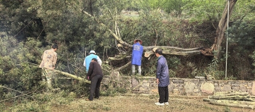 1e8456d441c1ada27f6324355c1b5de