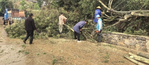 25d2f8468e6304f2fa47e2be6c90567