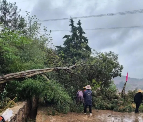 be434b3f80b847c081f1992cdcbf394