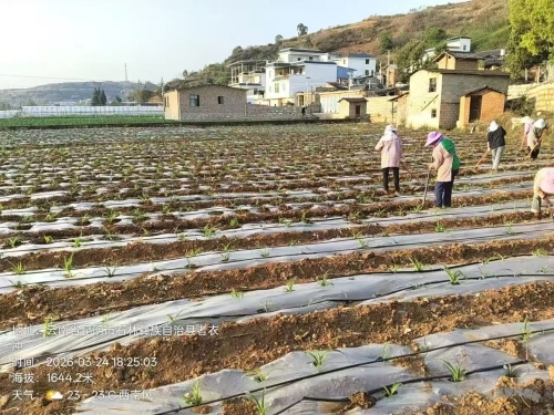 微信图片_20260401101859_588_25