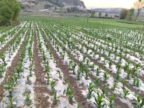 微信图片_20260401101902_589_25